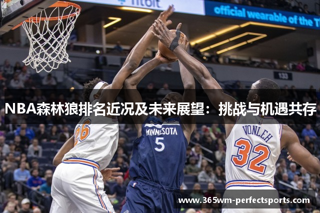NBA森林狼排名近况及未来展望：挑战与机遇共存